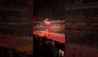 Nail Art at an Anaheim Ducks Game