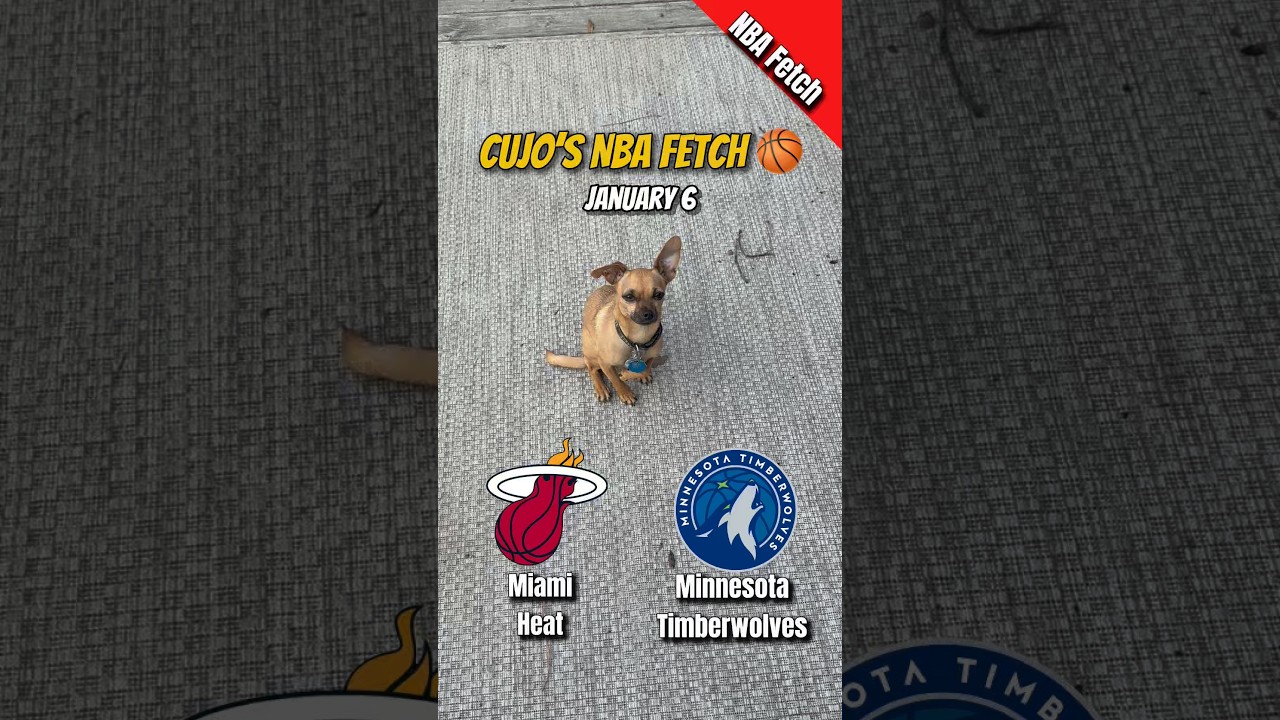 Cujo’s NBA Fetch | Miami Heat vs Minnesota Timberwolves 🐕 01-06-2026 NBA Basketball