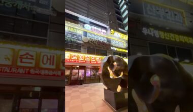 From San Francisco to Seoul ✈️ 샌프란시스코에서 서울로