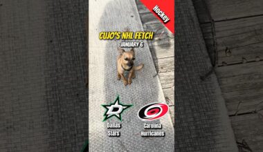 Cujo’s NHL Fetch | Dallas Stars vs Carolina Hurricanes 🐕 01-06-2026 NHL Hockey