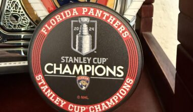 Picked up a discounted Hallmark ornament online