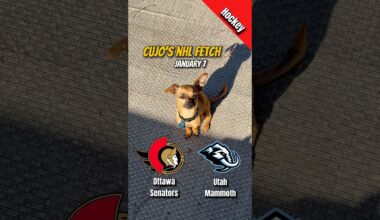 Ottawa Senators vs Utah Mammoth — January 7, 2026 | NHL | Cujo Catches