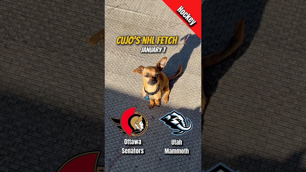 Ottawa Senators vs Utah Mammoth — January 7, 2026 | NHL | Cujo Catches