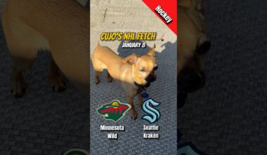Minnesota Wild vs Seattle Kraken | January 8, 2026 | #CujoCatches NHL Fetch