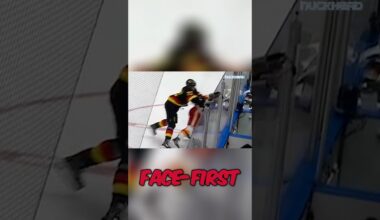 Petterssons stick up for each other. #Canucks #NHL #hockey