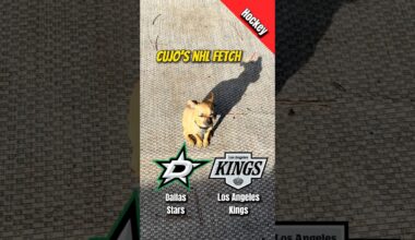 Cujo’s NHL Fetch | Dallas Stars vs Los Angeles Kings 🐕 01-12-2026 NHL Hockey #cujocatches