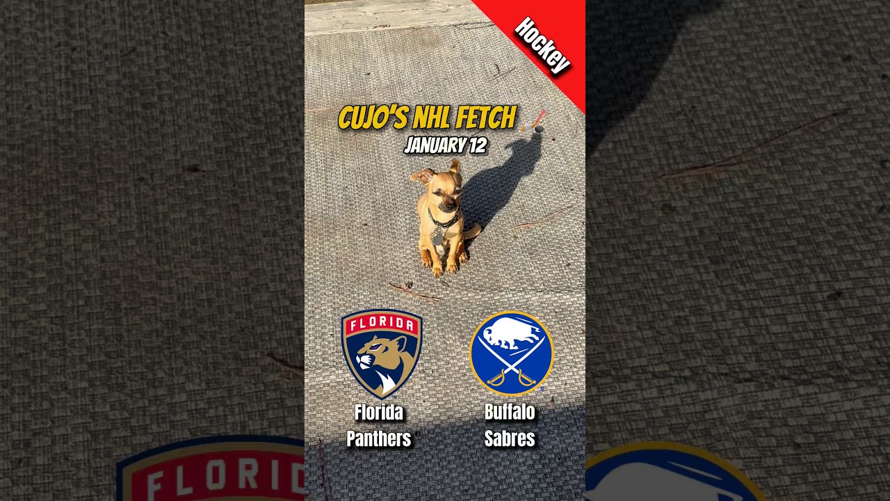 Cujo’s NHL Fetch | Florida Panthers vs Buffalo Sabres 🐕 01-12-2026 NHL Hockey #CujoCatches