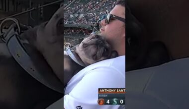 winning at life 🐶⚾️