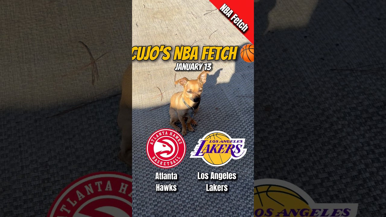Cujo’s NBA Fetch | Atlanta Hawks vs Los Angeles Lakers 🐕 01-13-2026 NBA Basketball #CujoCatches