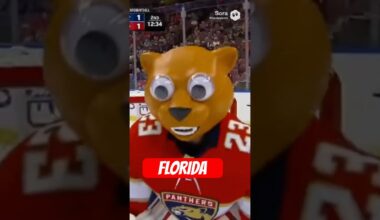 FLORIDA PANTHERS GOALIE INSANE MASK #hockey #nhl