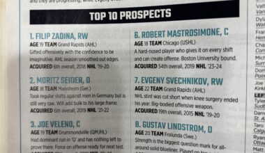 The Hockey News 2019-2020 “expert” guide
