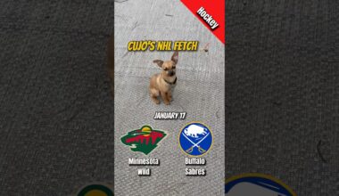 Cujo’s NHL Fetch | Wild vs Sabres 🐕 01-17-2026 NHL Hockey #cujocatches