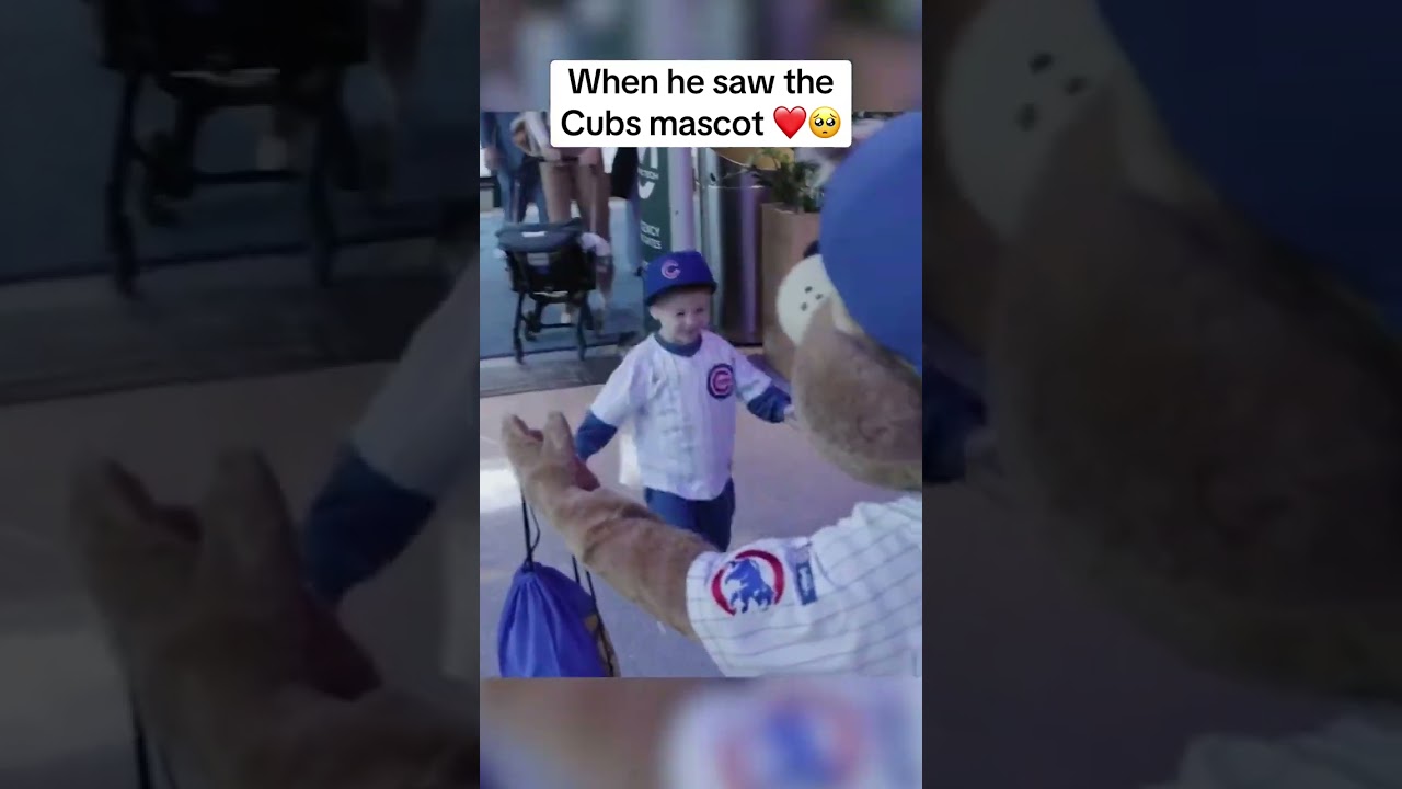 Alex Bregman's son's reaction to meeting Clark the Cub 🥰 (via @Cubs/TT)