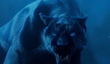 Carolina Panthers After Dark!!!