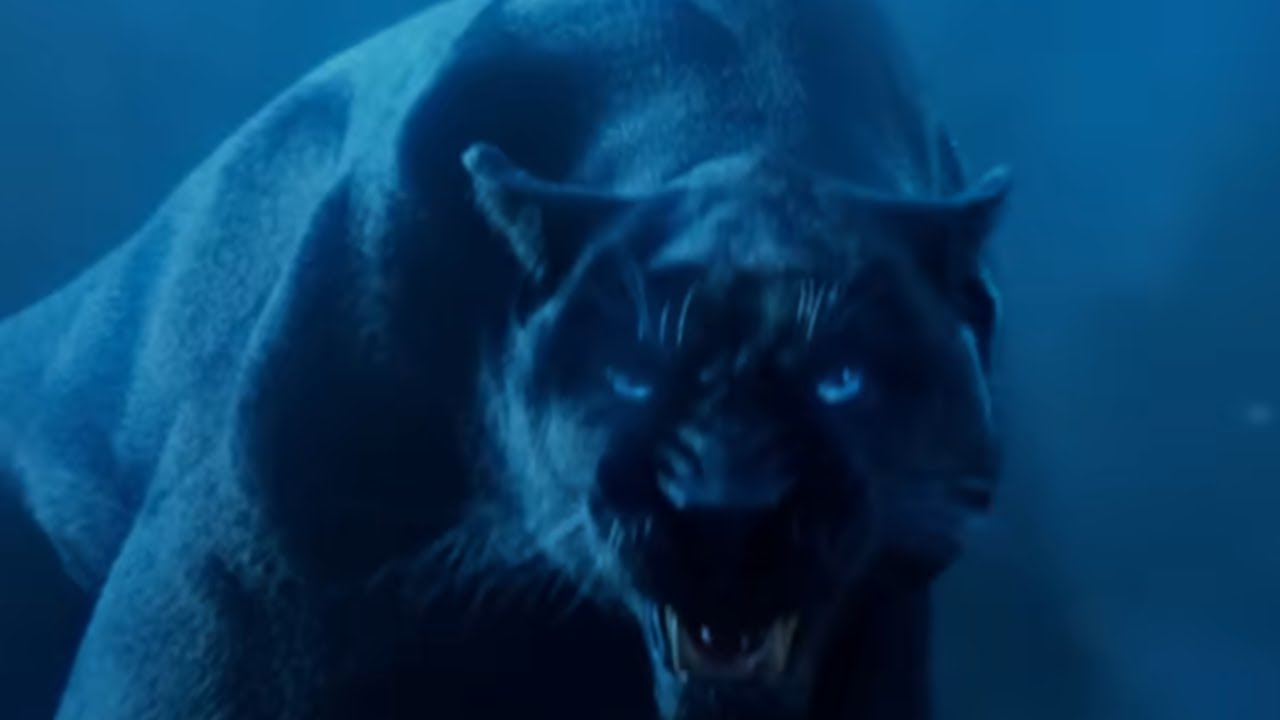 Carolina Panthers After Dark!!!