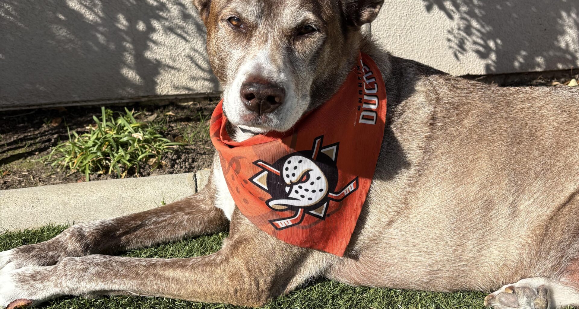 Lilly happy after 3-1 series win over the Kings.