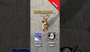 Cujo’s NHL Fetch | New York Rangers vs Anaheim Ducks 🏒 01-19-2026 #CujoCatches