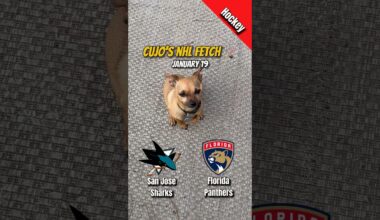 Cujo’s NHL Fetch | San Jose Sharks vs Florida Panthers 🏒 01-19-2026 #CujoCatches