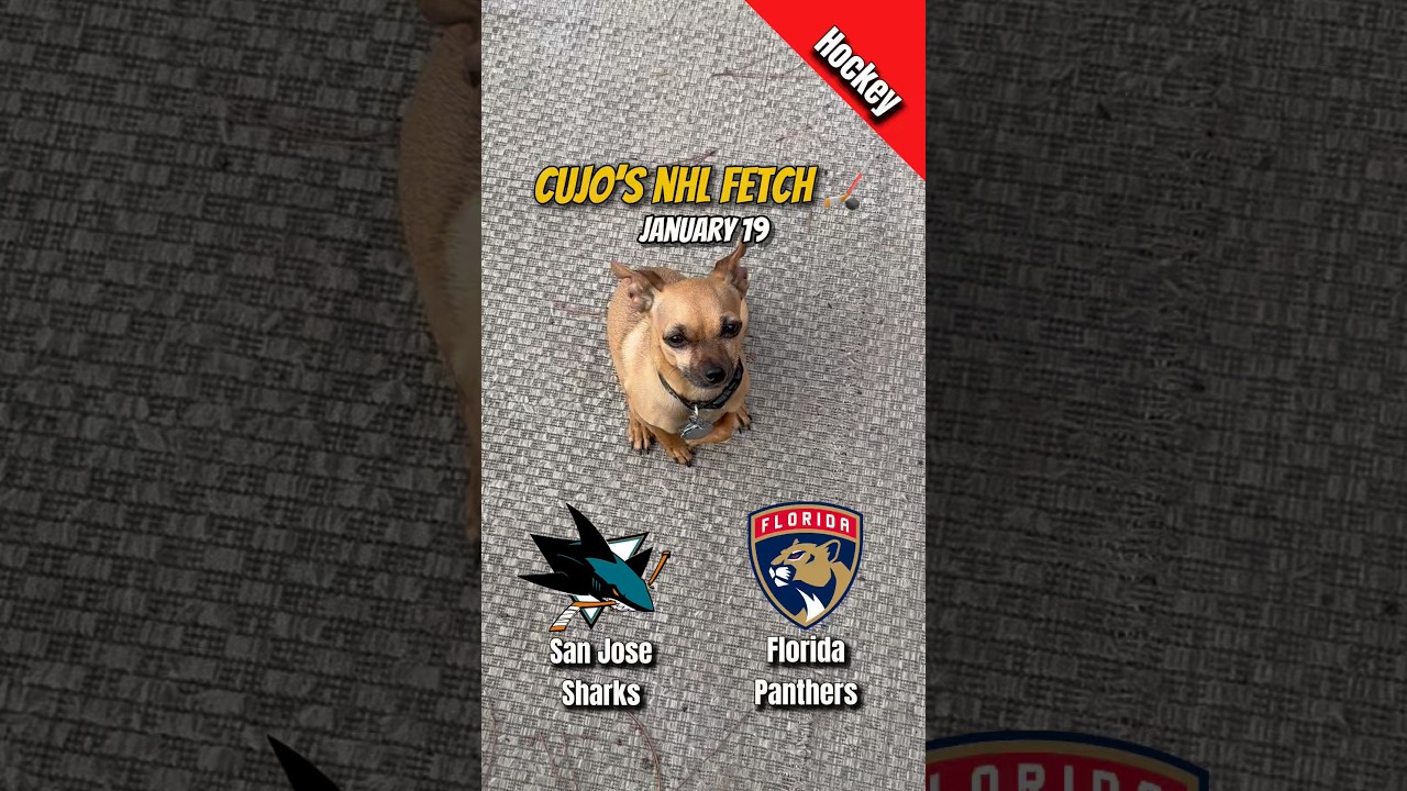 Cujo’s NHL Fetch | San Jose Sharks vs Florida Panthers 🏒 01-19-2026 #CujoCatches