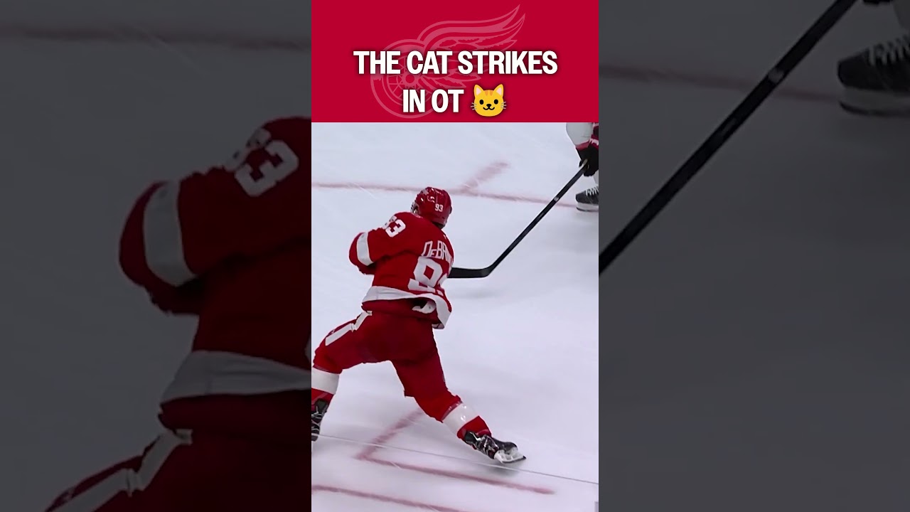 The Cat Ends It in OT! 🚨🐱