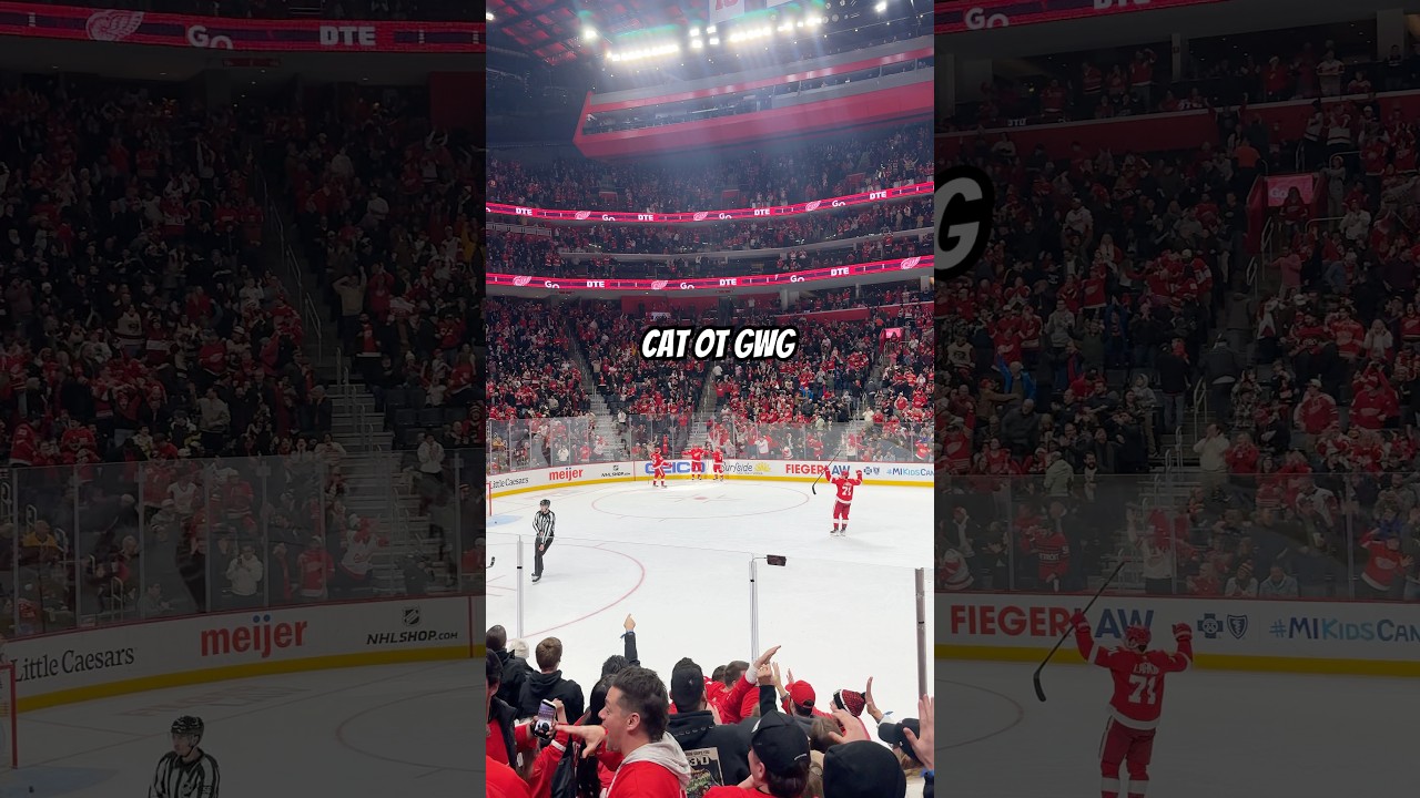 Alex DeBrincat nets the overtime game-winner vs. Ottawa