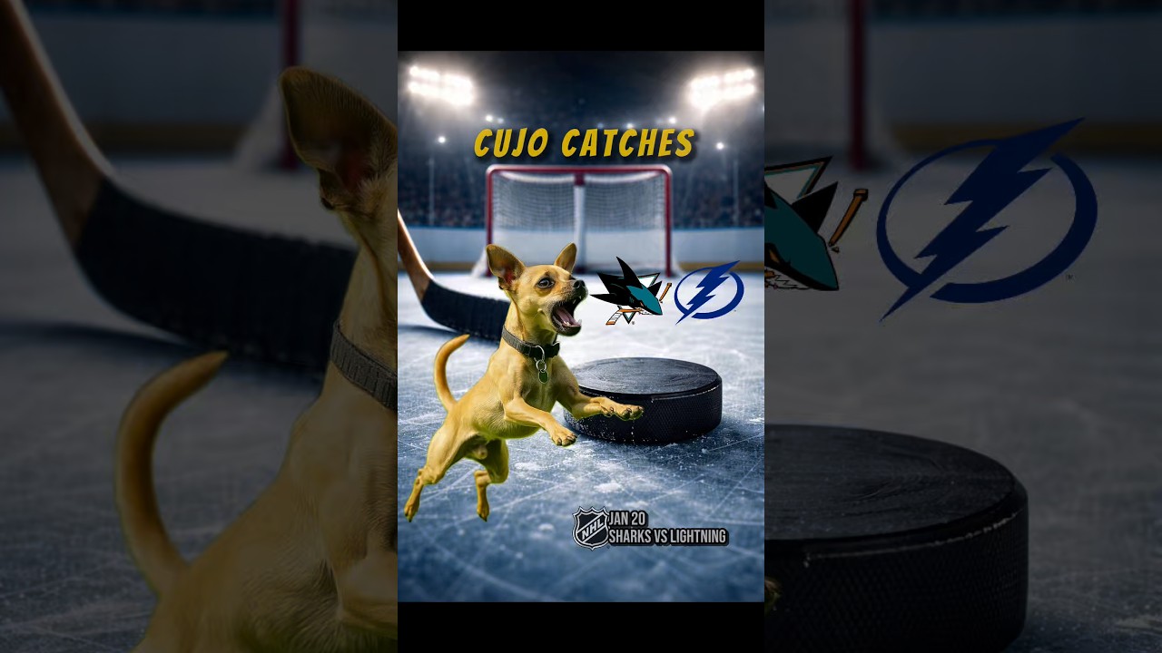 Cujo’s NHL Fetch | San Jose Sharks vs Tampa Bay Lightning 🏒 01-20-2026 #CujoCatches