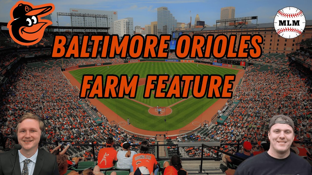 WHERE ARE THESE GUYS GOING TO PLAY? | Baltimore Orioles Farm Feature