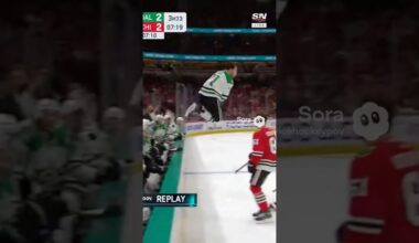 POV: Dropkick in the NHL 😳🏒