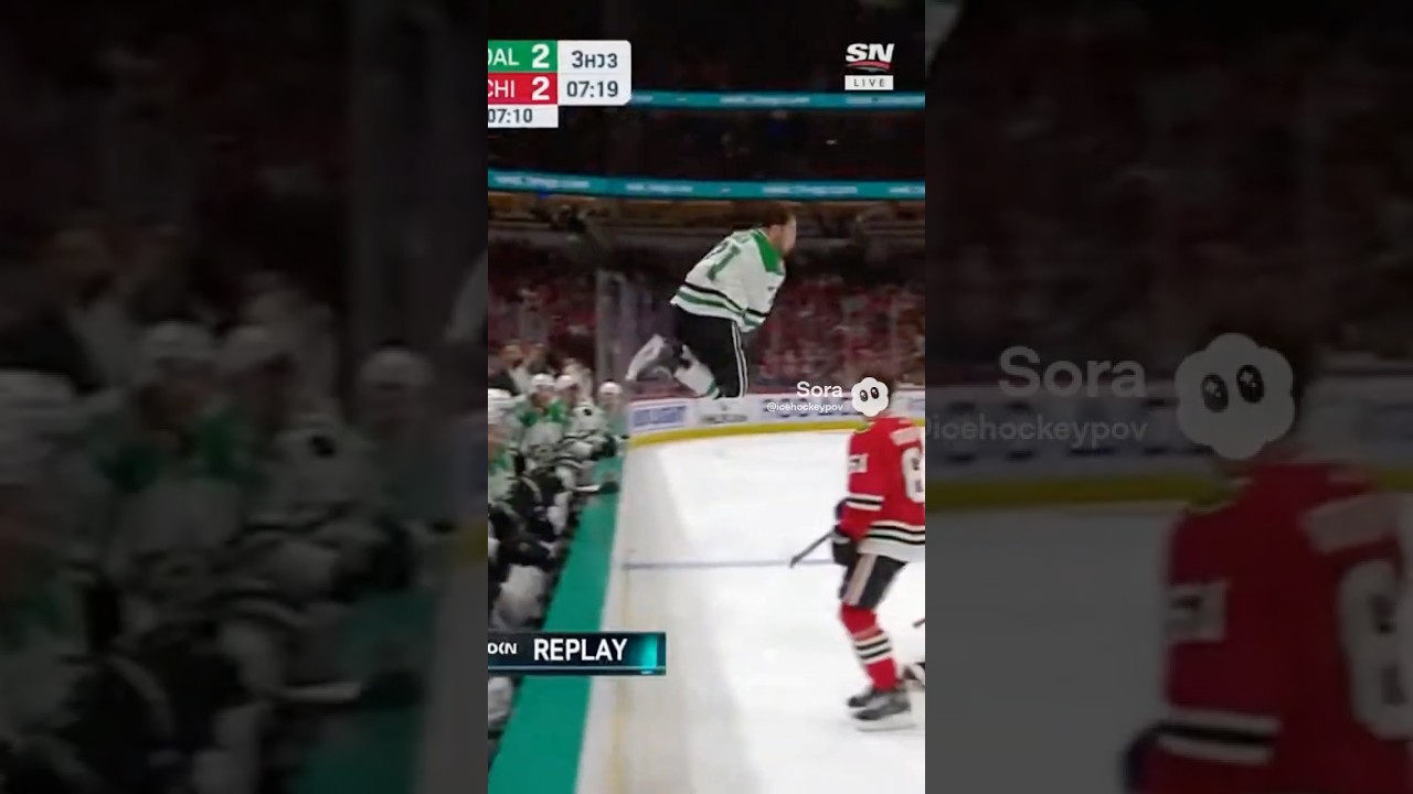POV: Dropkick in the NHL 😳🏒