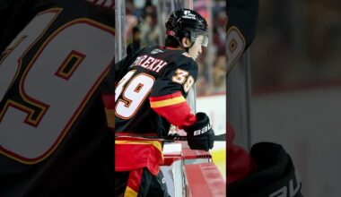 Should we be concerned about Zayne??