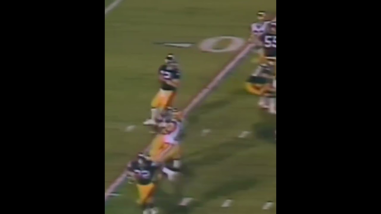 On January 20, 1980, the Steelers beat the Rams 31-19 in Super Bowl XIV