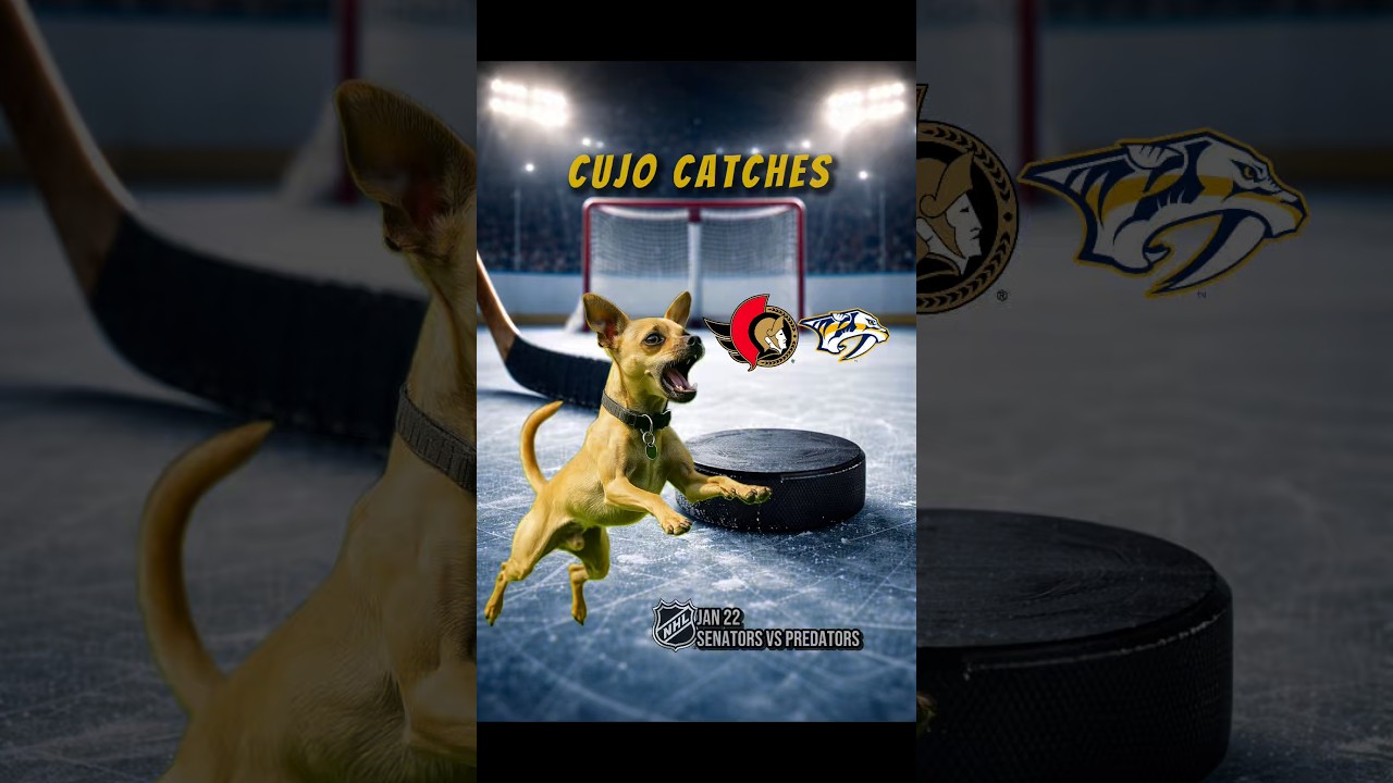 Cujo’s NHL Fetch | Ottawa Senators vs Nashville Predators 🏒 01-22-2026 #CujoCatches