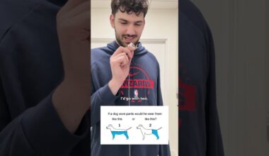 But fr though, how would a dog wear its pants? 🤔 🐶