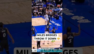 Bridges with the hammer 💪