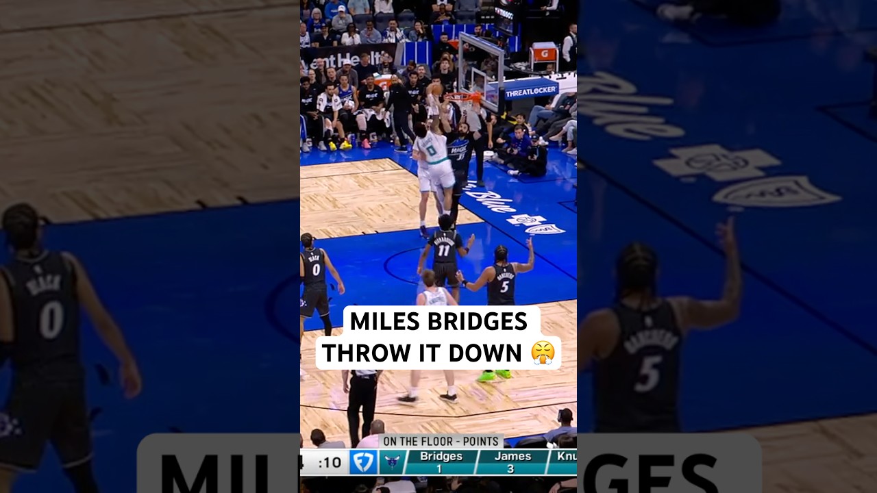 Bridges with the hammer 💪