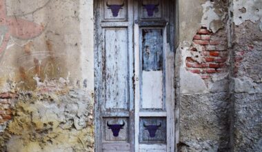 Bulls Back Office Podcast: E3 Centers of Attention