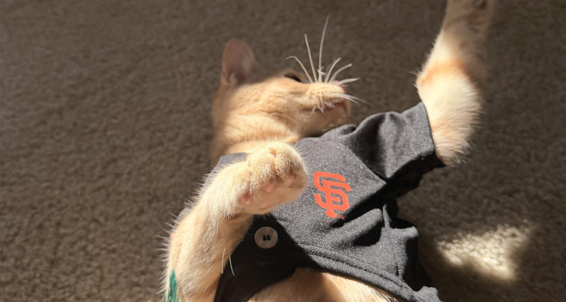 Patiently waiting for pre season