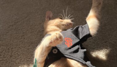 Patiently waiting for pre season