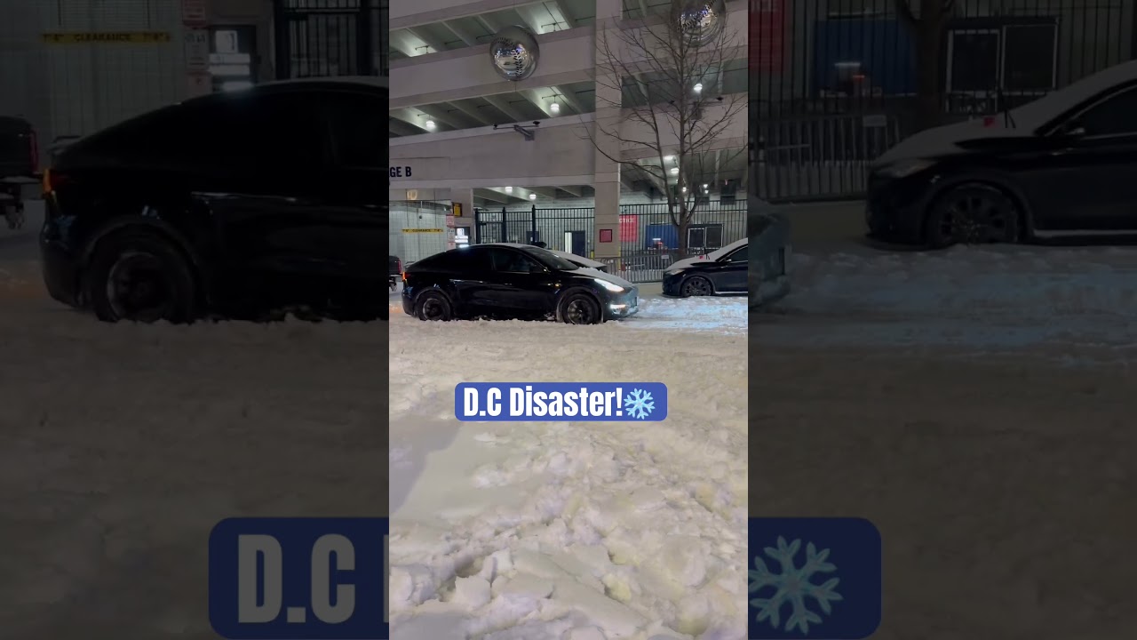 IT’S WILD OUT HERE #wizards #snow #dc