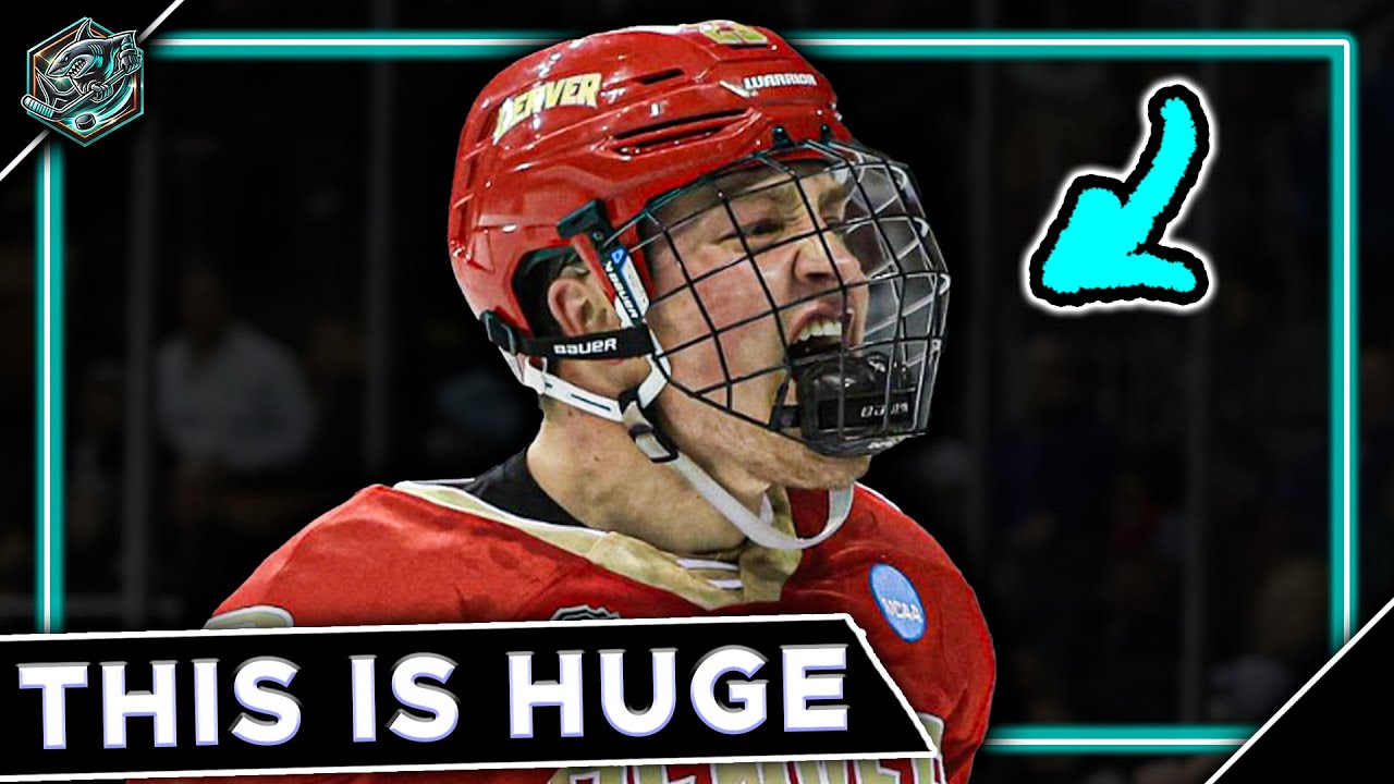 The Sharks have found a HIDDEN GEM...