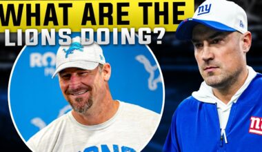 What are the Detroit Lions Doing with Mike Kafka?