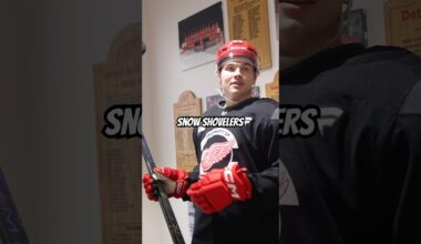 Which Red Wings players shoveled their snow after the Michigan snow storm?