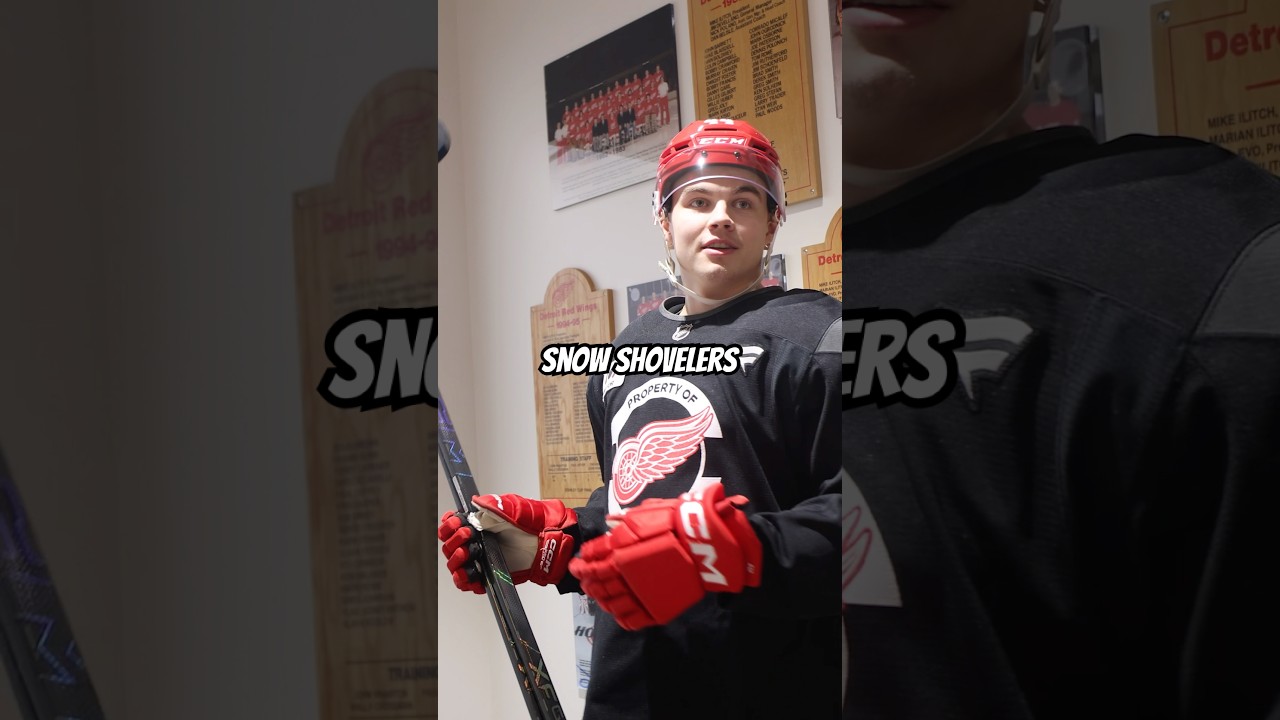 Which Red Wings players shoveled their snow after the Michigan snow storm?
