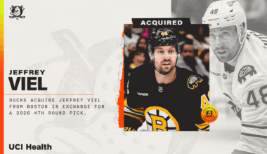 Ducks Acquire Viel from Boston | Anaheim Ducks