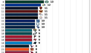 20 + Yard Rushes 2025 NFL Season