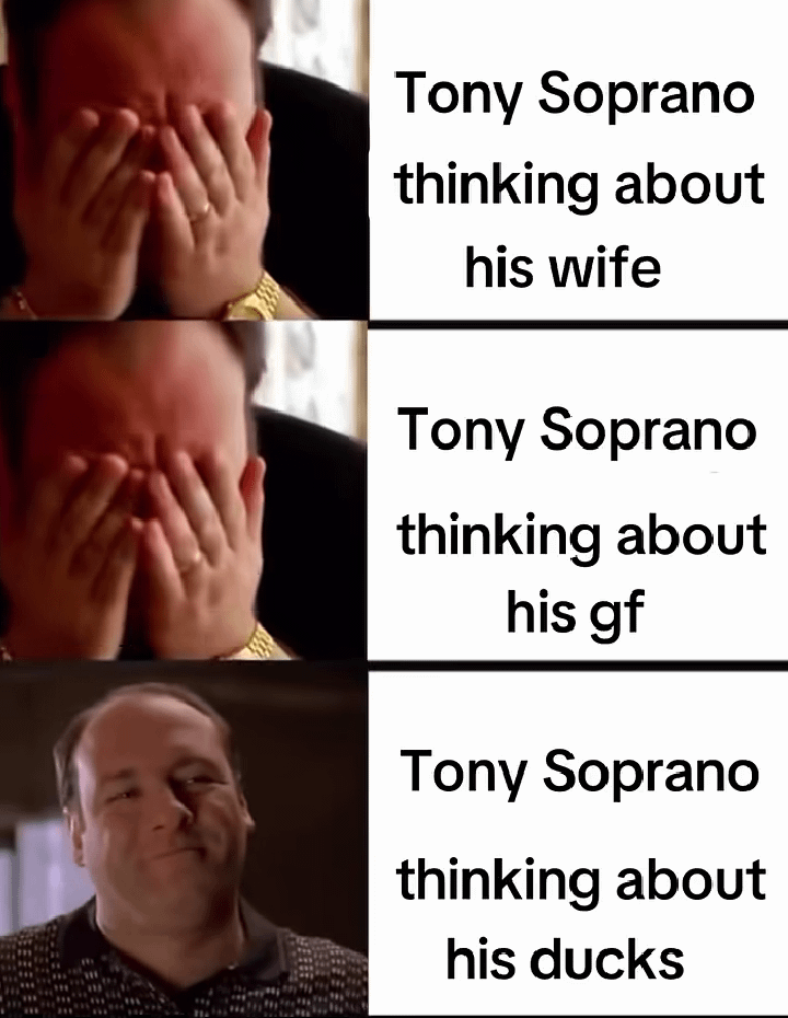 Sopranos memes lotta cross over potential in that