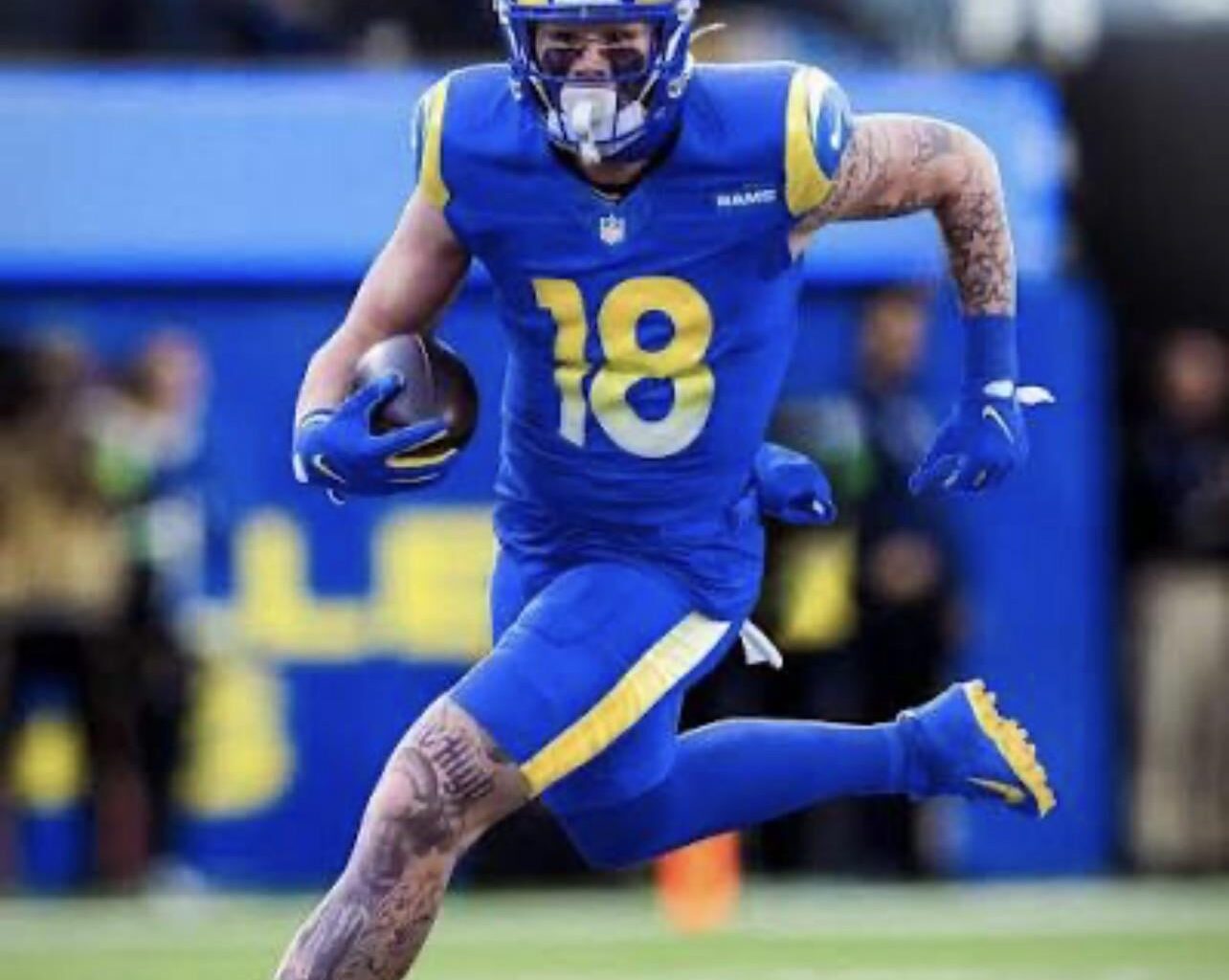 The TE room is healthy !