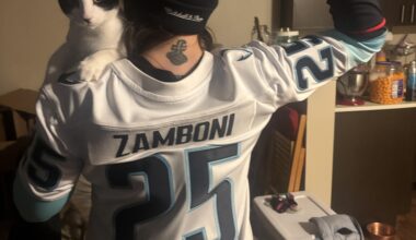 My cats name is Zamboni.