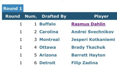 Paul Hamilton during 2nd intermission: “How was he (Hughes) not the first overall pick in his draft?”