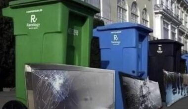 BEARS FANS ON MONDAY